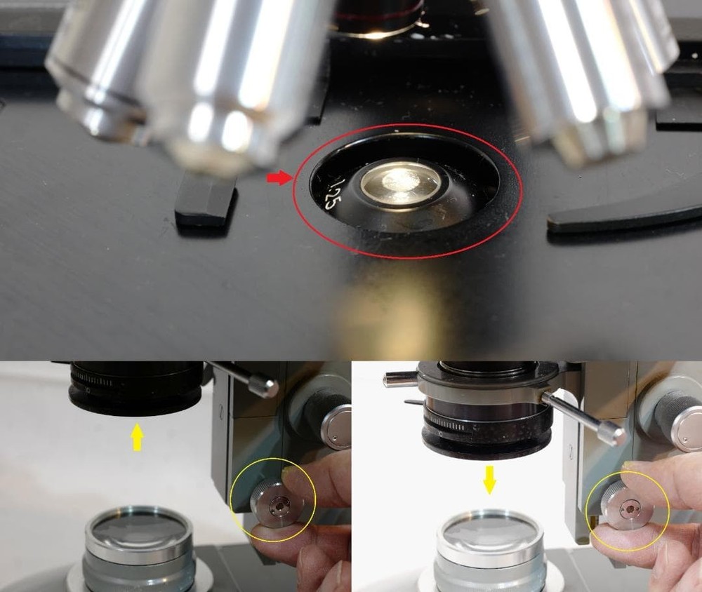microscope antique collectible Olympus' "EHS" microscope