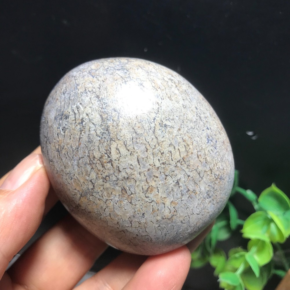 148g polished dinosaur bone specimen Madagascar 10