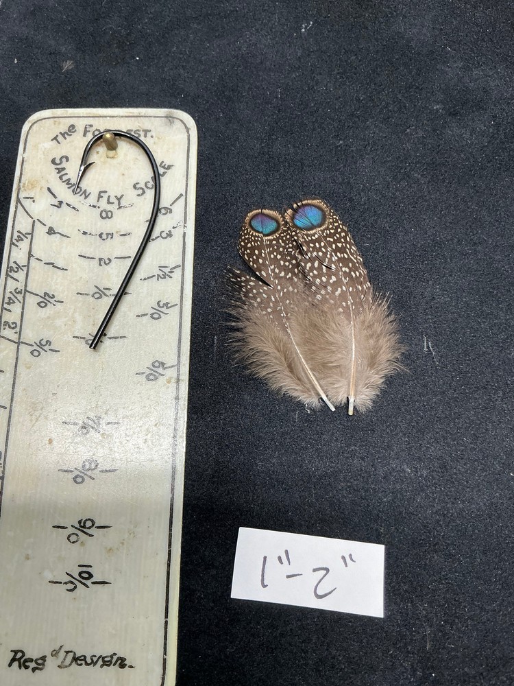 Germaines Peacock Pheasant feathers