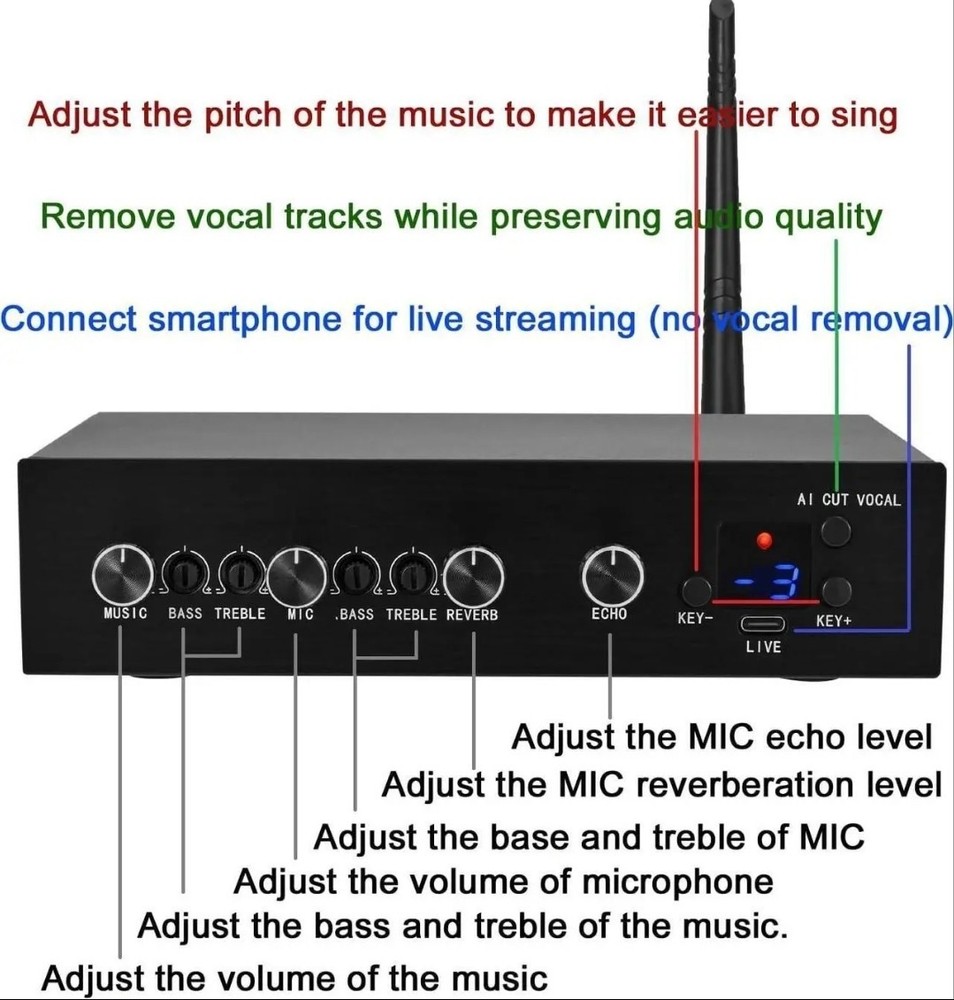 AIK089 Karaoke Wireless Microphone Machine