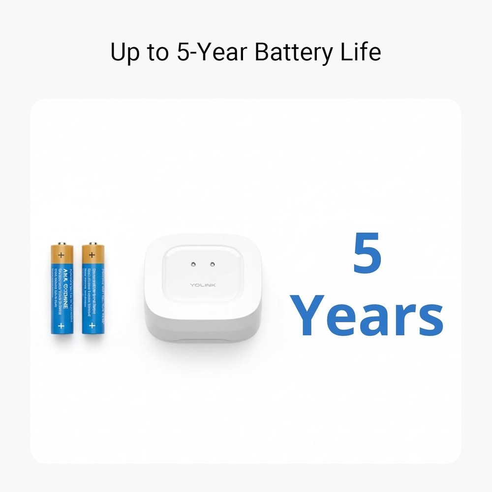 Complete Water Leak Detection & Protection Kit with Long-Range LoRa & Smart A...