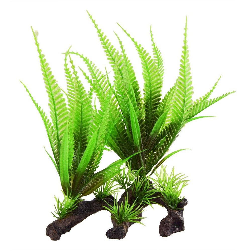 RA Ferns On Roots (2 Pack)