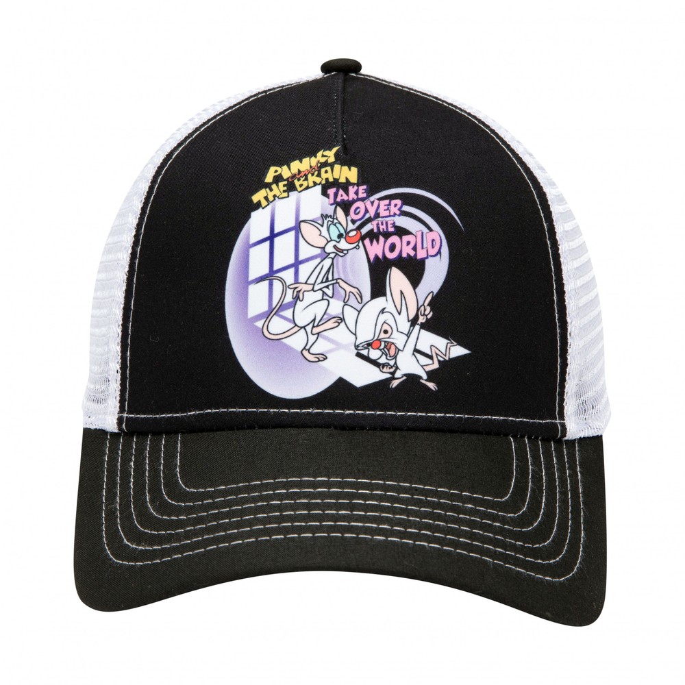 Pinky and The Brain Take Over The World Adjustable Hat Multi-Color