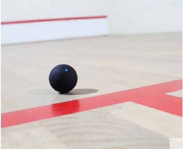 1Pcs Blue Point Squash Ball Fast Speed Type Professional Training Exercise