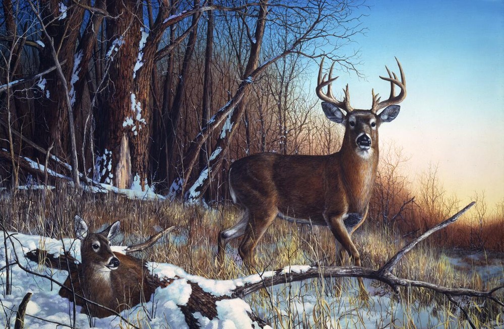 Ceramic Backsplash Tile Mural Deer Kitchen/Bathroom - Resting Place - Jim Hansel