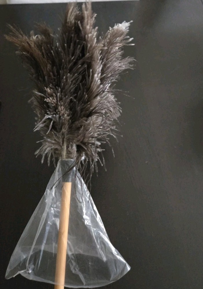 16 Inch Handle Ostrich Feather Duster