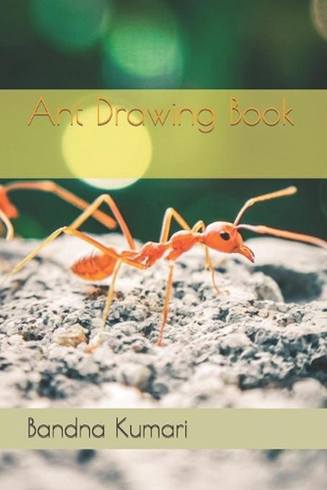 Ant Drawing Book