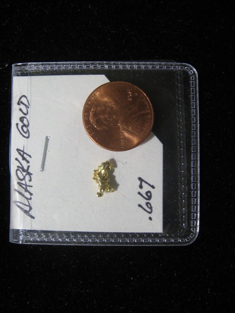 ALASKA GOLD NUGGET  .667 GRAM!