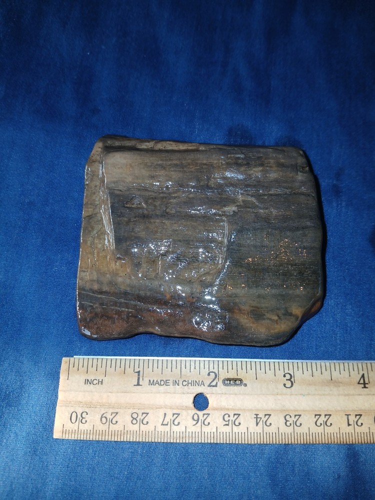 10 oz Texas Petrified Wood