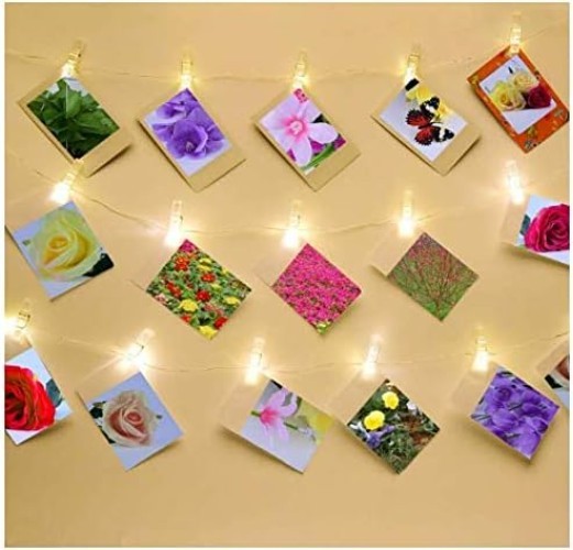 50PCS Clear Mini Spring Clips for Photos, Crafts & Laundry - Compact & Durable
