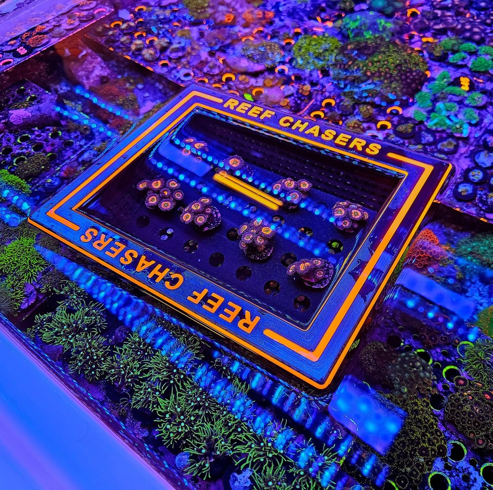 The Magic Floating Picture Box