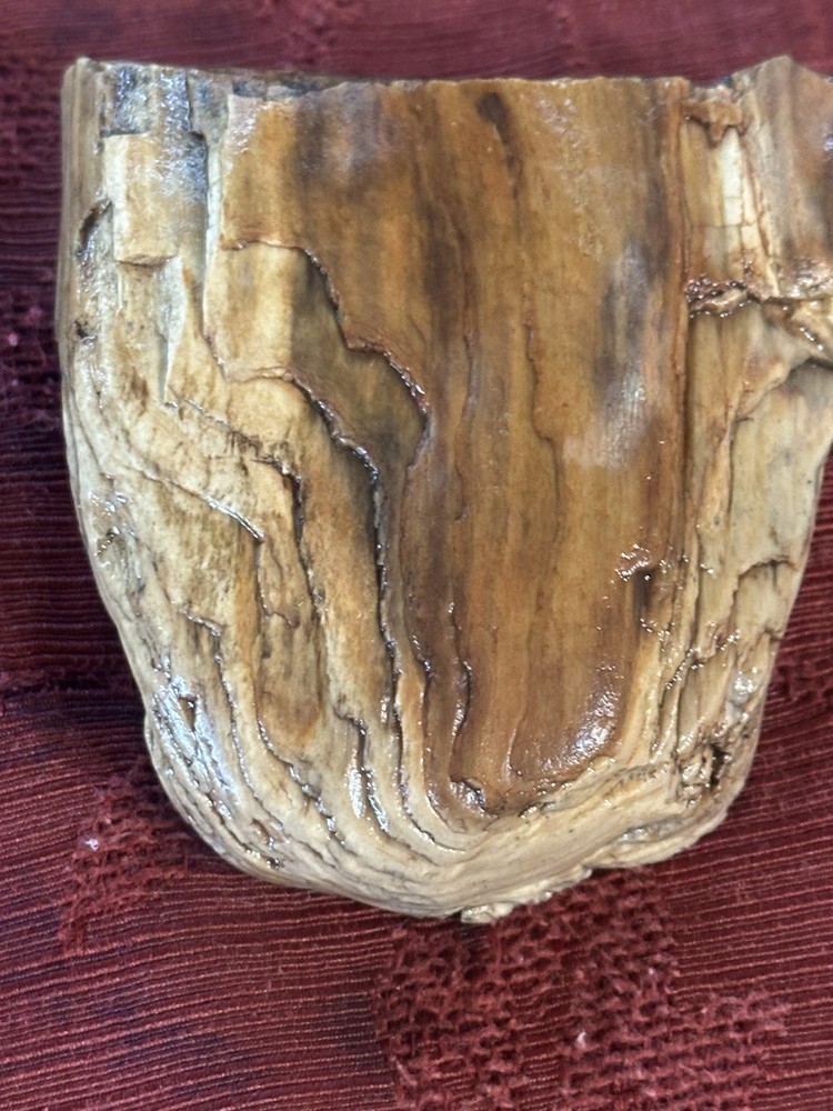 Central Oregon Petrified Wood 11.4oz