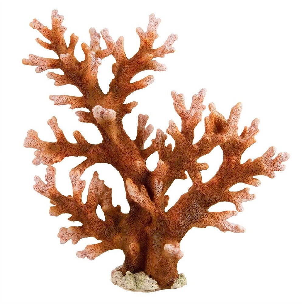 RA UNDERWATER TREASURES Staghorn - Large