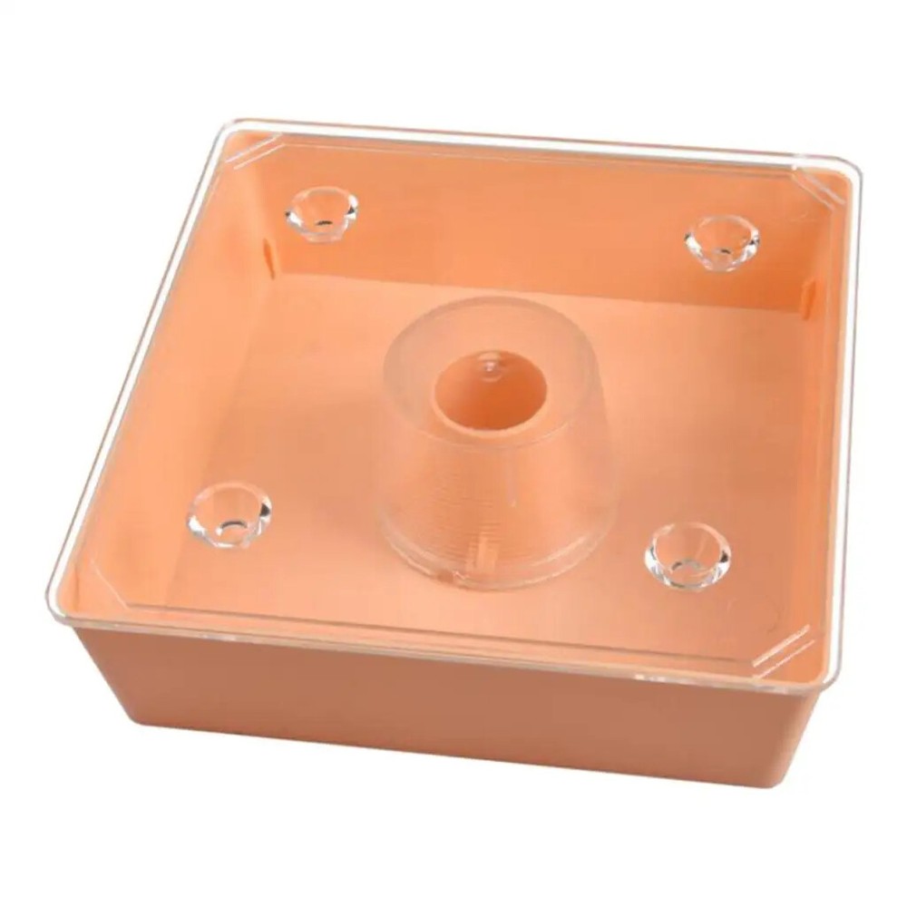 Beehive Bee Feeder Beekeeper Tool Easy to Use