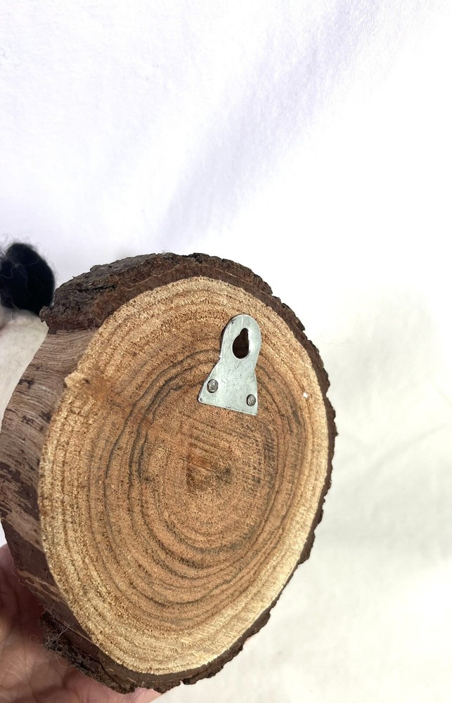 Mounted Mountain Goat Needle Felt