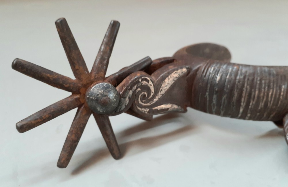 Old Mexican Single Spur