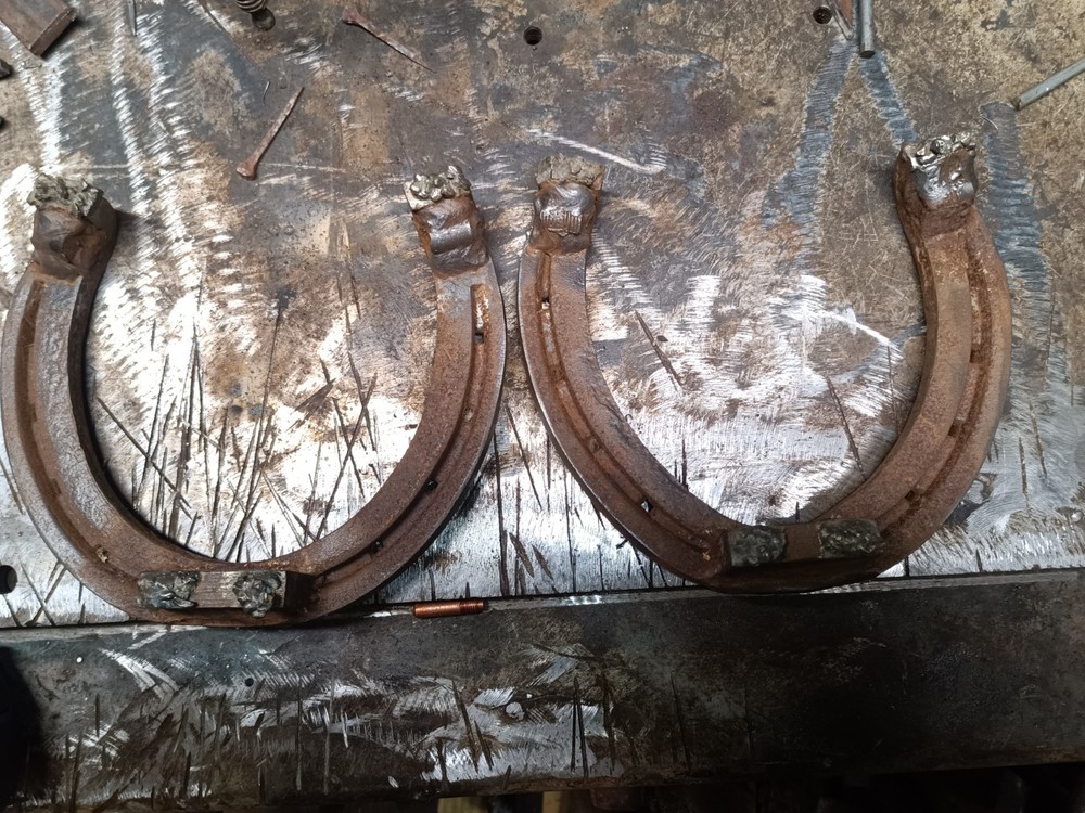 Giant Draft Horse Pulling Shoes
