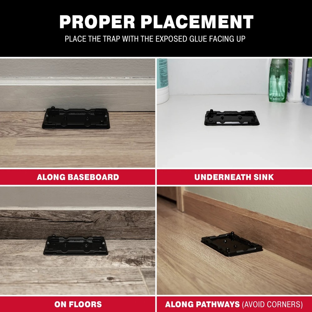 Catchmaster Mouse & Insect Solid Glue Traps 6 Count