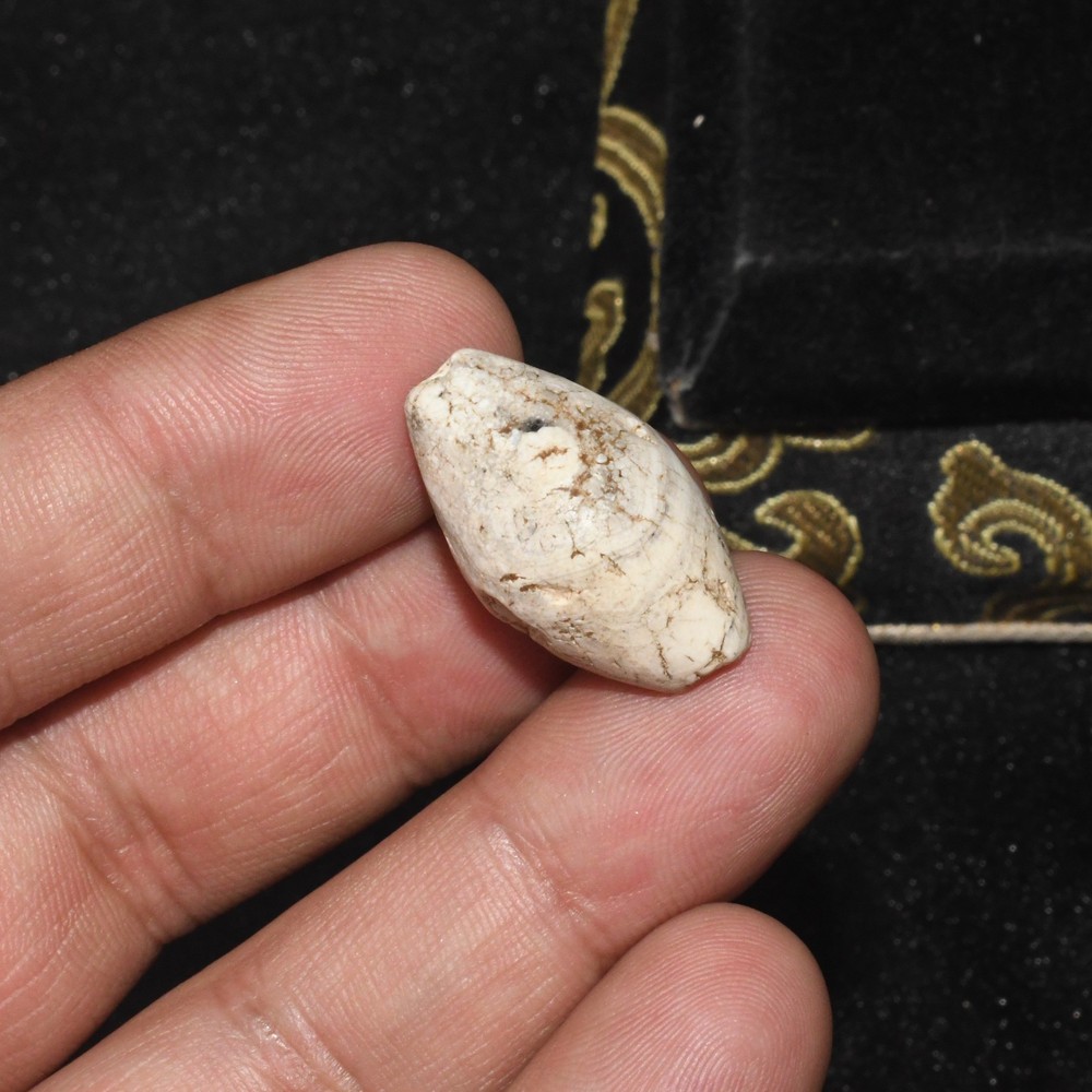 Large Ancient Central Asian Bactrian Banded Agate Stone Dzi Bead