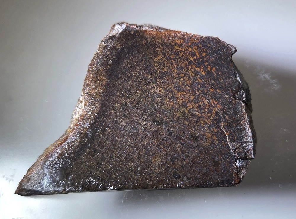 Agatized Gem Dinosaur Bone Mini Slab     29.3 grams   SDB002