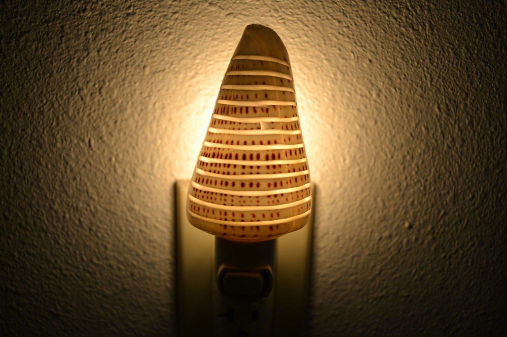 SPOTTED BANDED CONUS SEA SHELL NIGHTLIGHT #S7-251