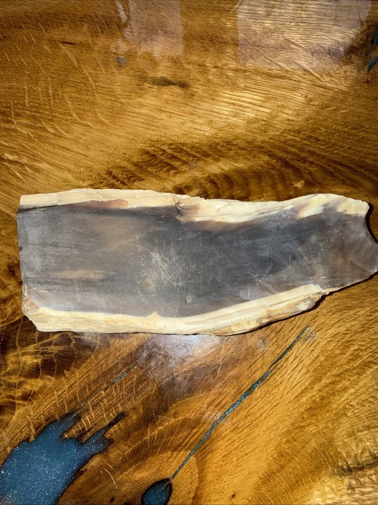 Petrified Wood Lapidary Slab