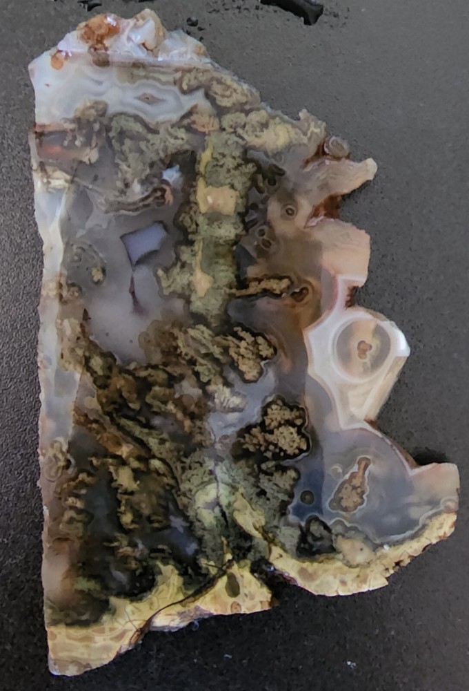 Plume Agate Oregon