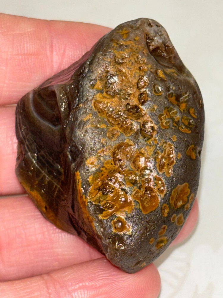 1.2 Ounce agate with Limonite husk