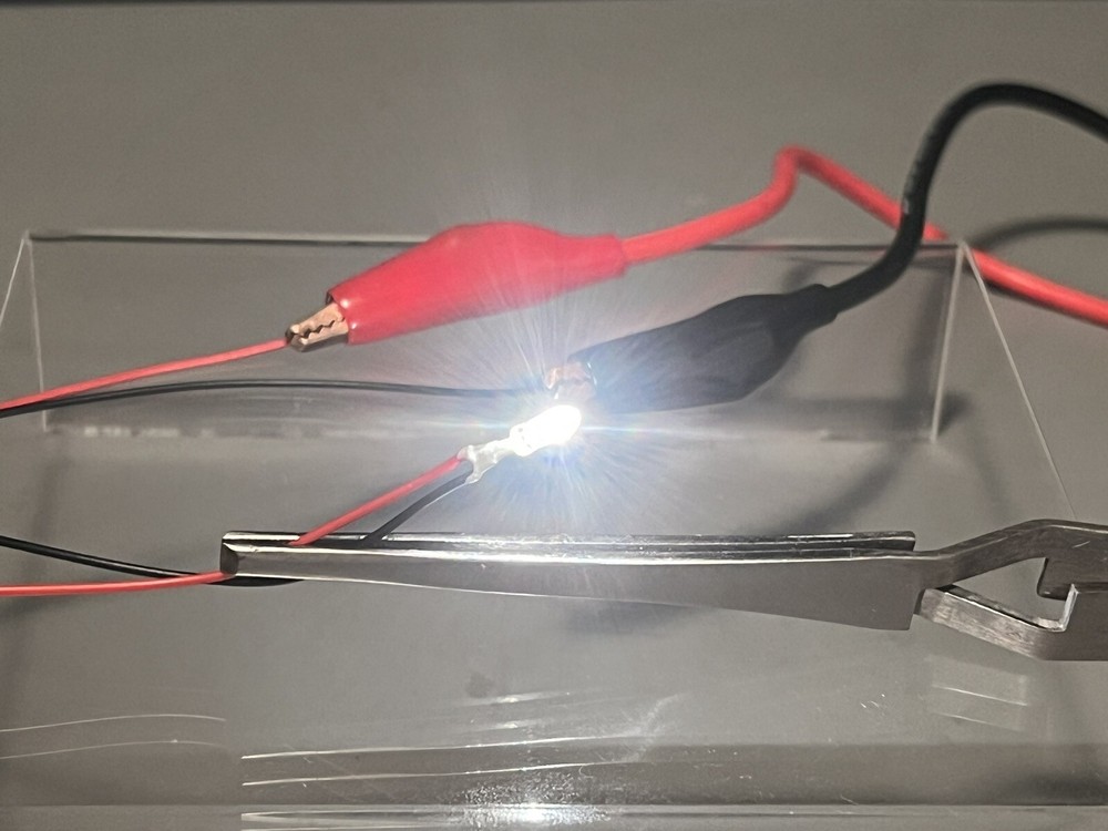 Schaper Stomper • 1.5V Replacement Light Bulbs • ( X 2 ) • Two Bright Lights •