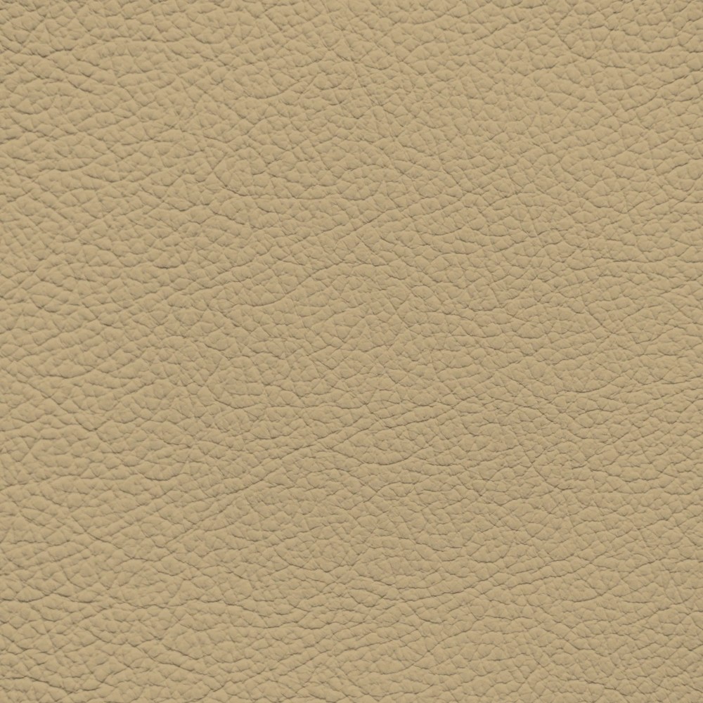 Acura/Honda Parchment Leather Dye