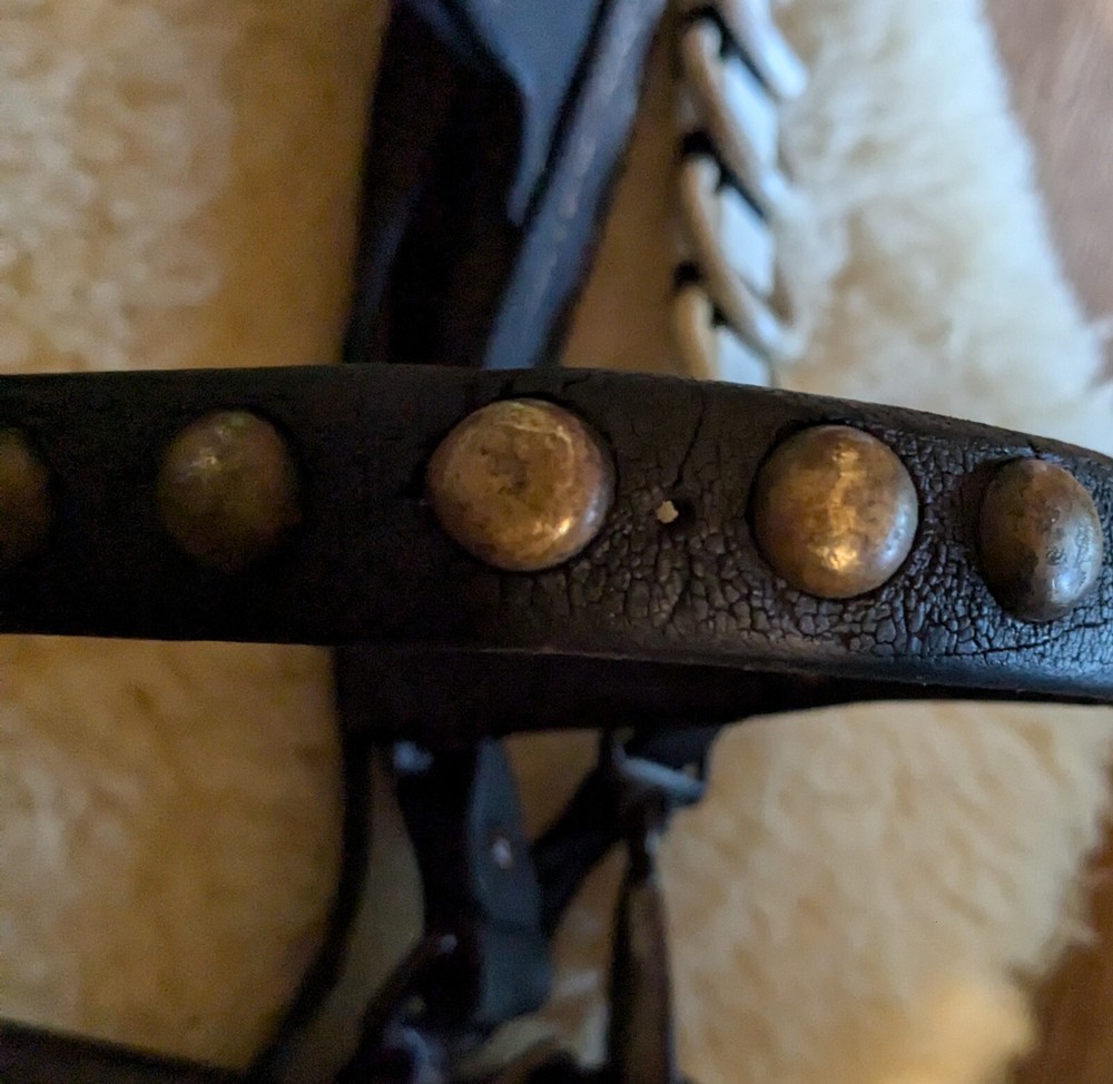 Vintage Driving Bridle
