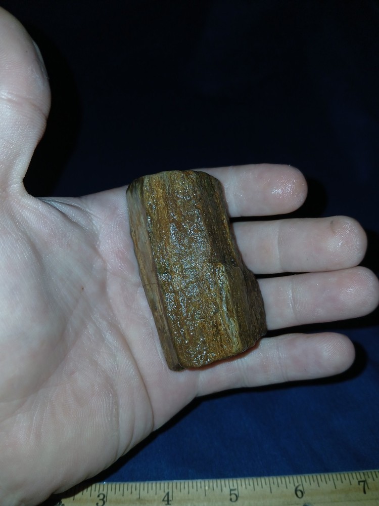 3.6 oz Texas Petrified Wood