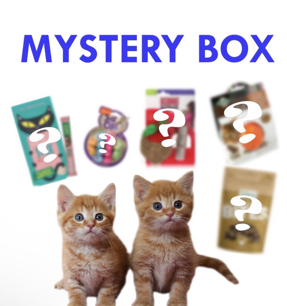 Cat Mystery Box