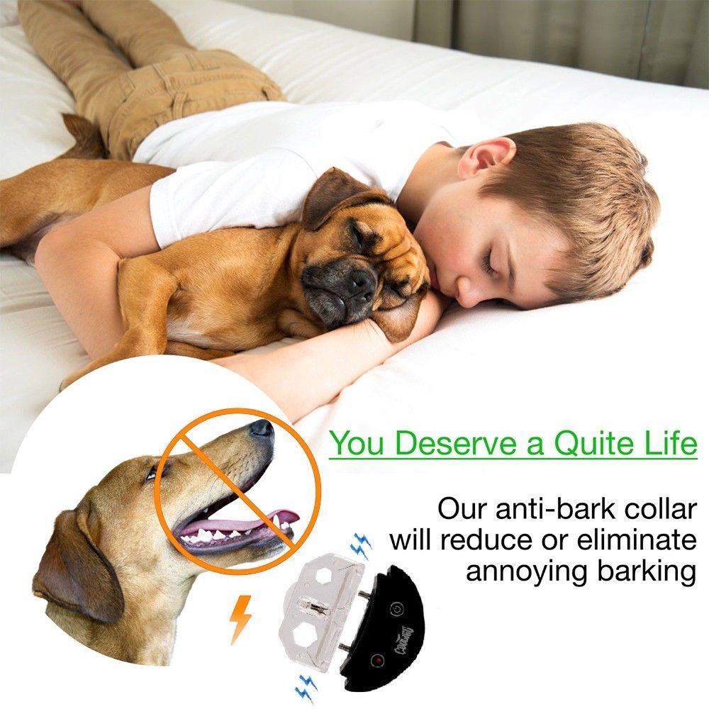 Anti Barking E-Collar No Bark Dog Training Shock Collar for Small Medium Dog