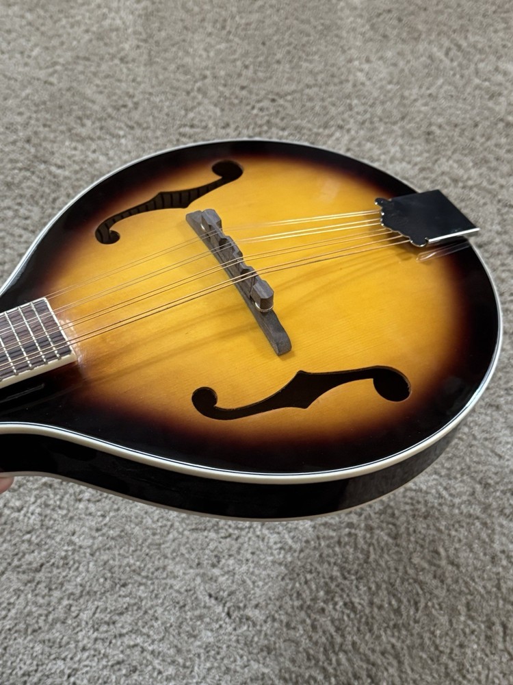 Morgan Monroe MM-100AM A-Style Mandolin