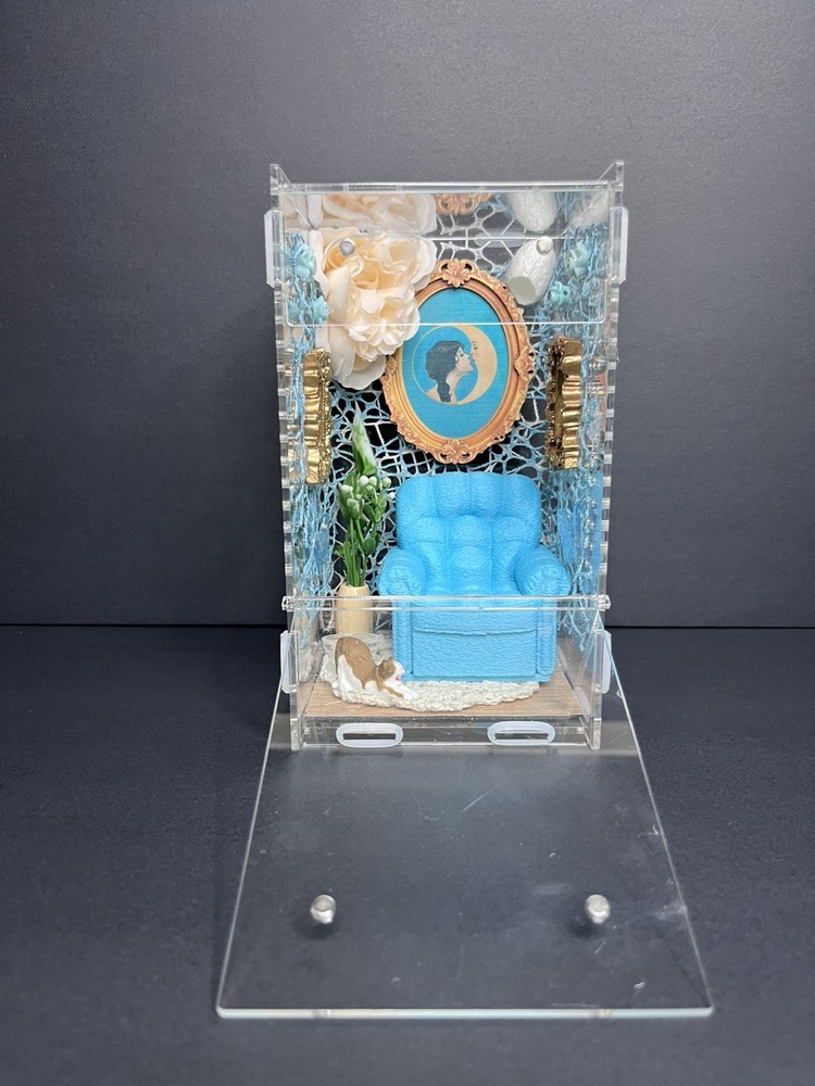Front opening blue room Jumping Spider Enclosure