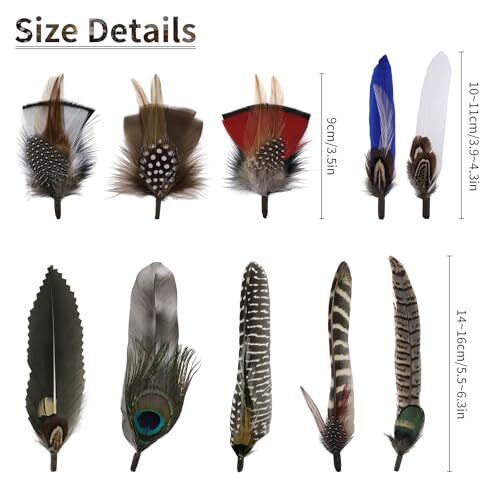 Hat Feathers, Assorted Natural Colorful Feather Accessories for Top Hats,
