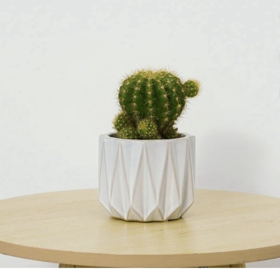 Better homes And Gardens 5” Devi Round Ceramic Planter