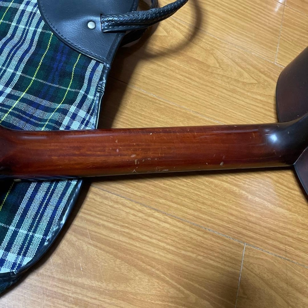 Hashimoto Gut Guitar No232
