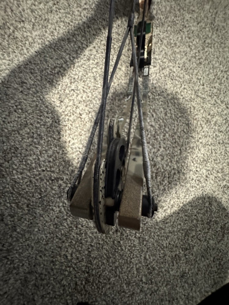 Compound Bow Hoyt Status Carbonite model, 60-70 lbs