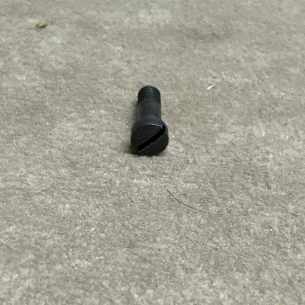 L & R Bridle Screw #7
