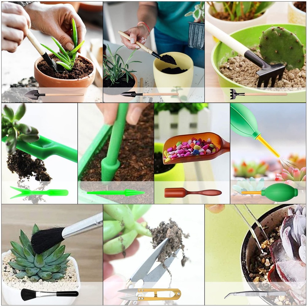 84 PCS Garden Tools Set,10pcs Succulent Set Included 6pcs Multicolor