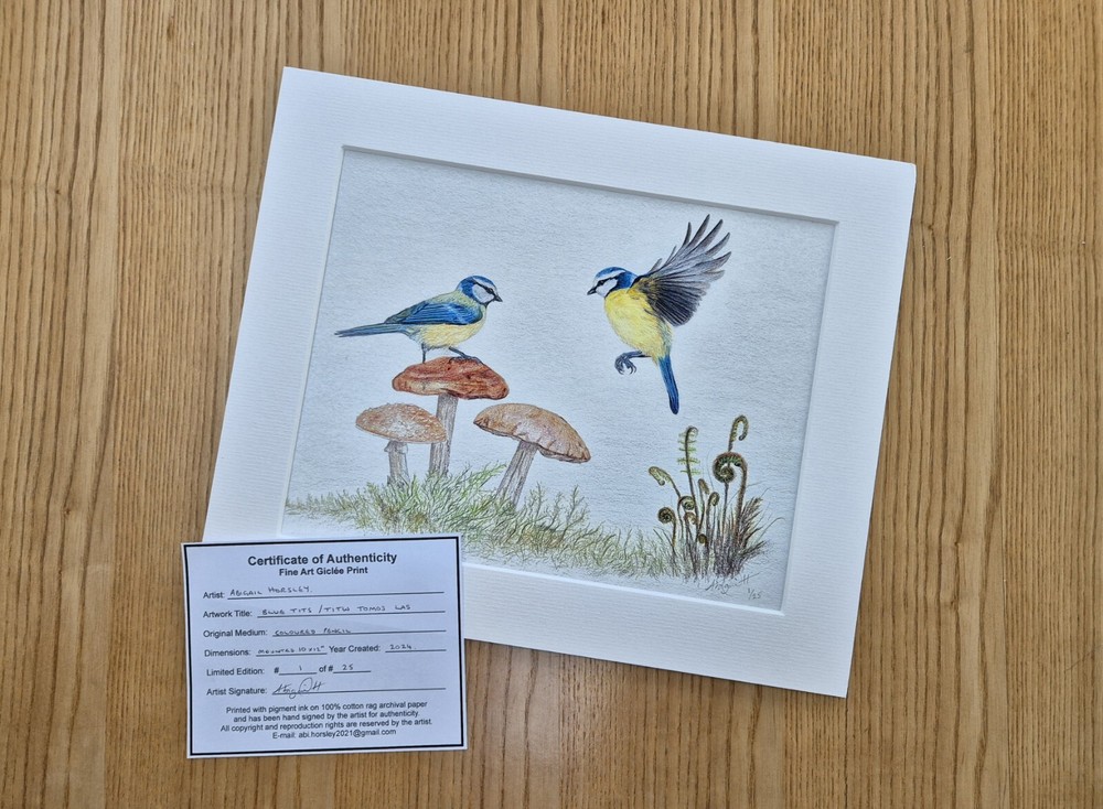 Bluetits Limited Edition Fine Art Print