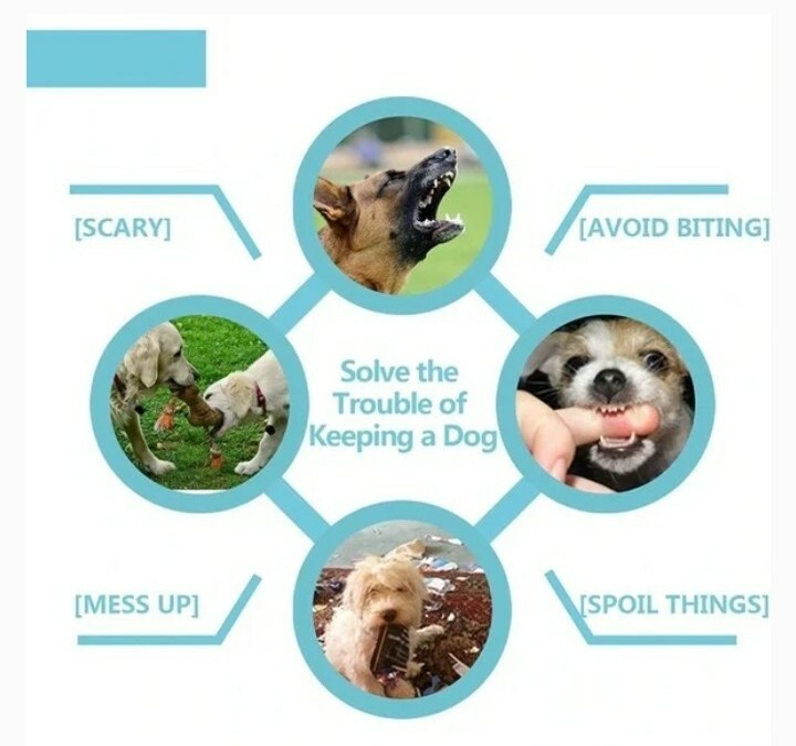 SOFT DOG MUZZLE, Size Small, Stop Biting, Chewing play safe