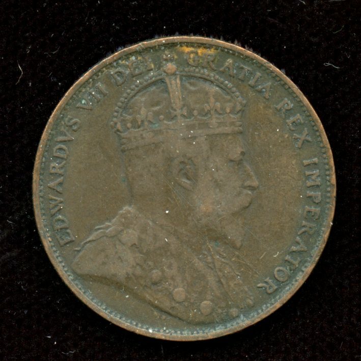 1904H Newfoundland One Cent - Nice Extra Fine Condition