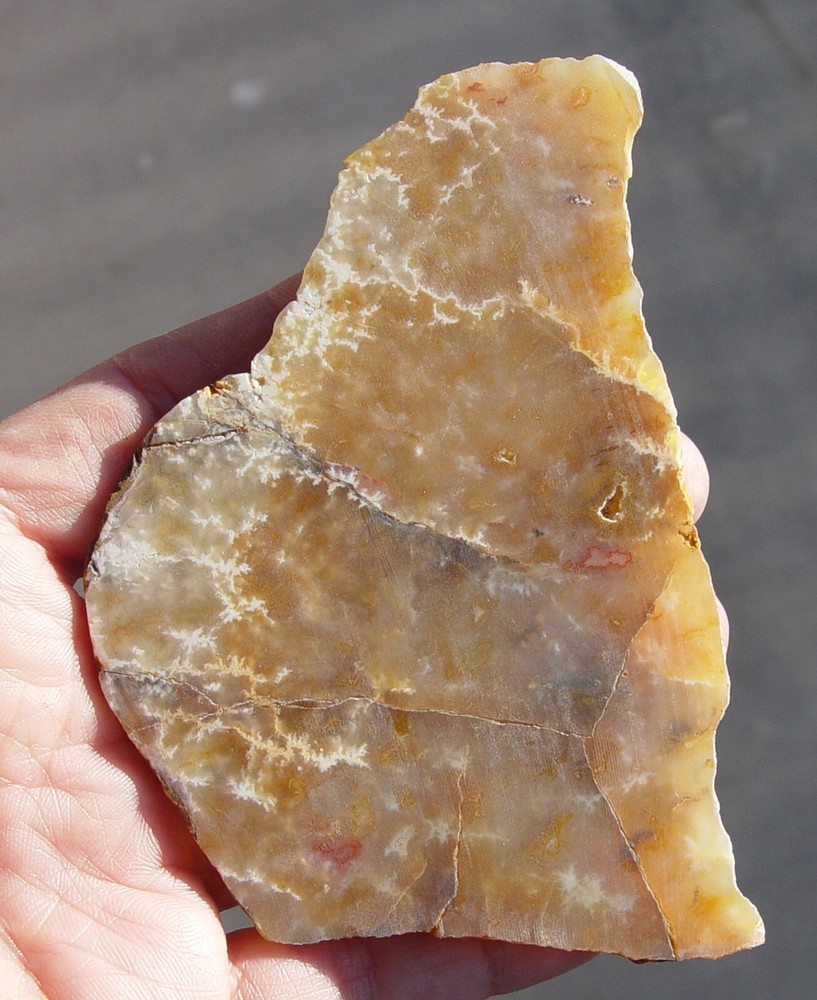 Graveyard Point Plume Agate Lapidary Slab T1026