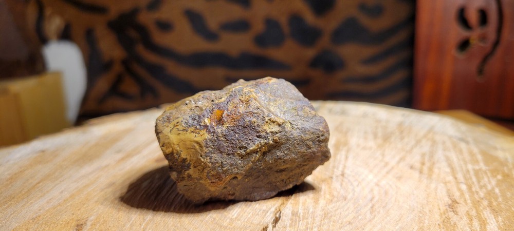 Petrified Wood 90g MI