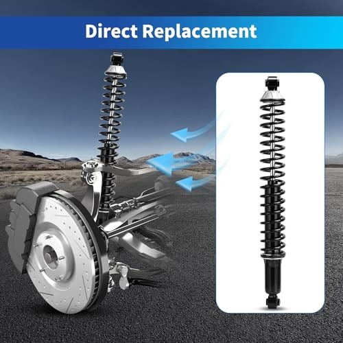 Rear Complete Strut Load Shocks and Coil Spring Assembly 02 Ram 1500 rear