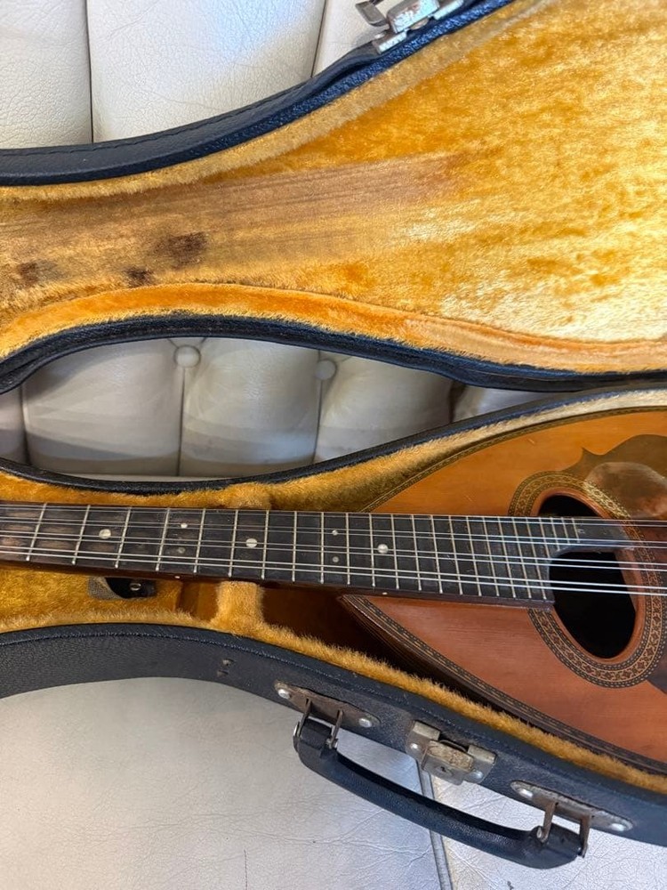 78: Mandolin Spruce body 8 strings