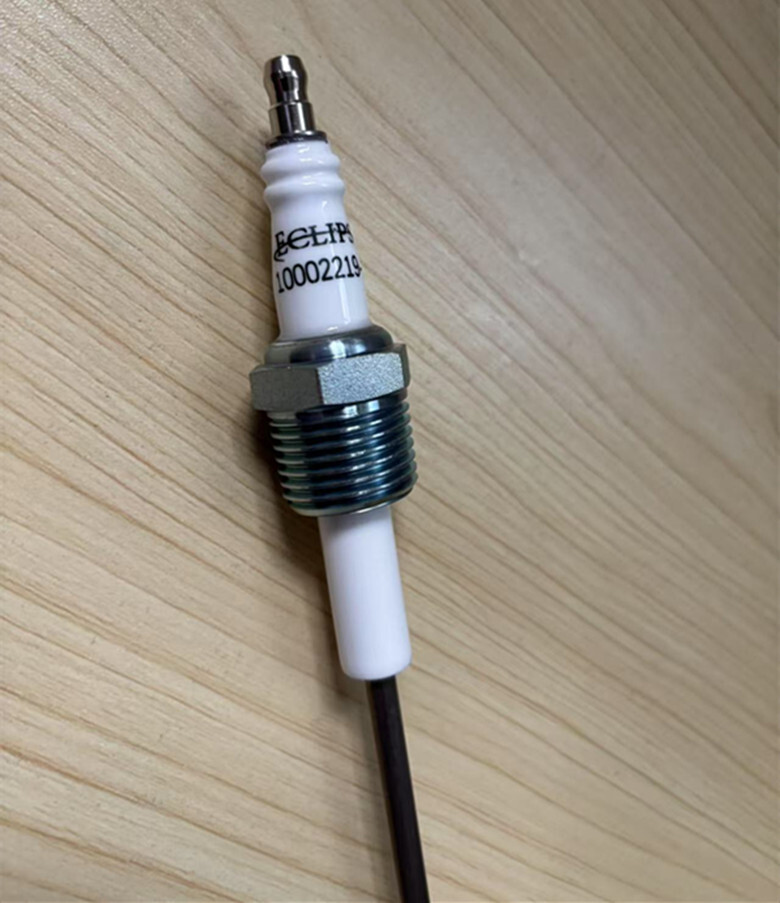 1pcs New ECLIPSE ignition detection electrode 10002219-1